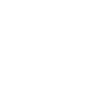 nyva_logo_white