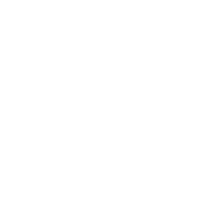 nyva_logo_white