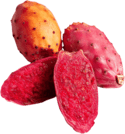 prickly pear